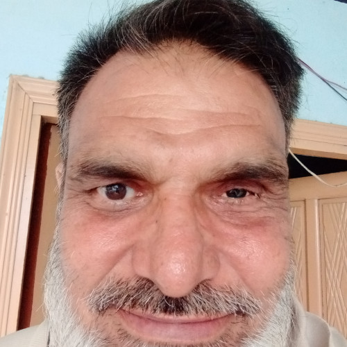 Muhammad  M. profile photo