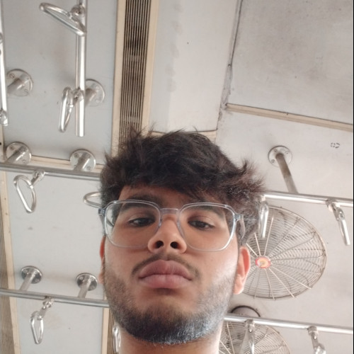 Raj S.