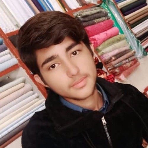 Sajid Ali R.