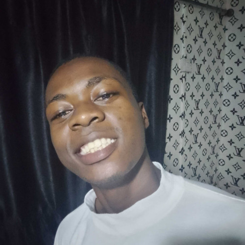 Adedeji A.