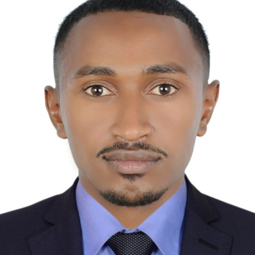 Alemayhu  K. profile photo