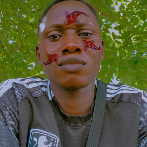 Light I. profile photo