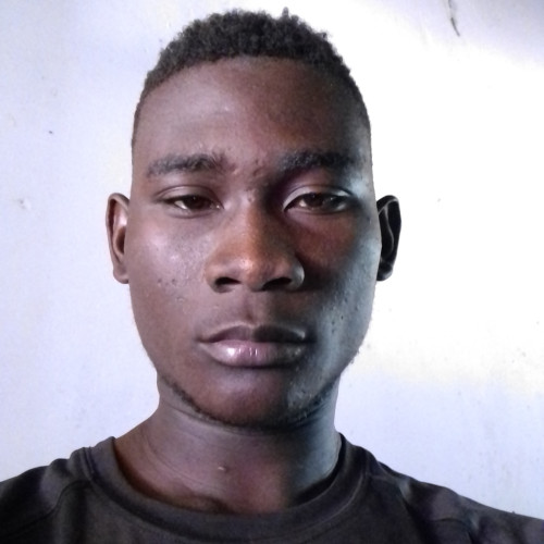 Bronze W. profile photo