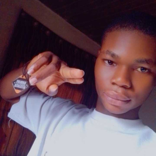 Daniel A. profile photo