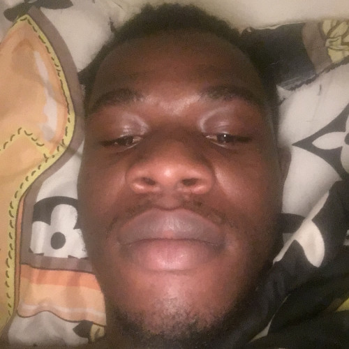 Daniel O. profile photo