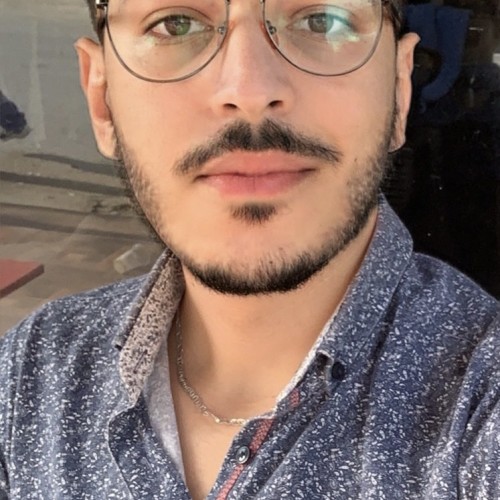 Ayman E.