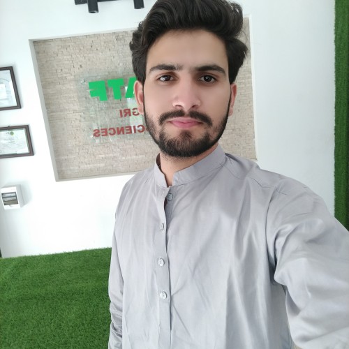 Taimoor A.