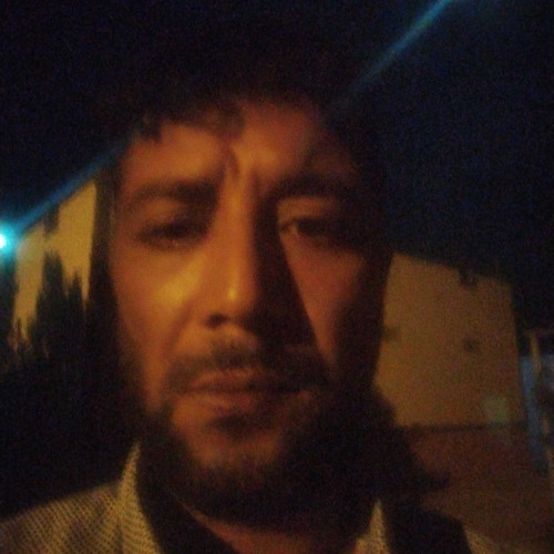majid a. profile photo