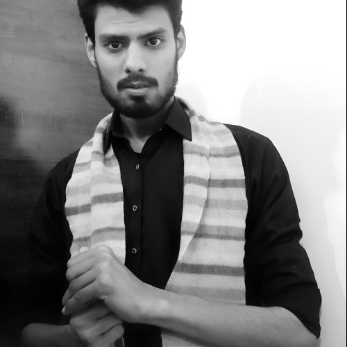 Muhammad Faraz S. profile photo