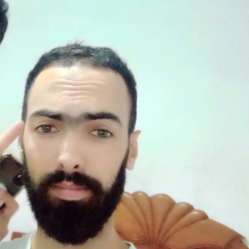 Ramzi  T. profile photo