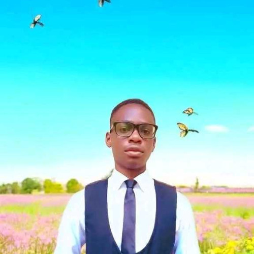 Godswill B.