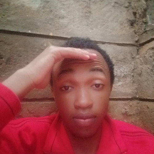 Elvis M. profile photo