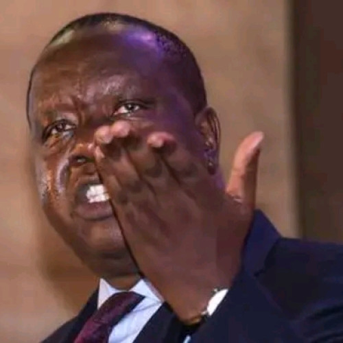 Amos  G. profile photo