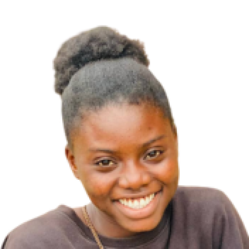 adeleke S. profile photo