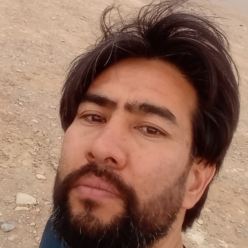 Mahdi S.