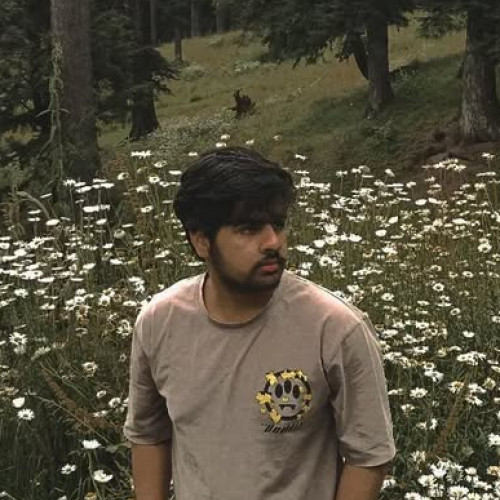 Musaib M. profile photo