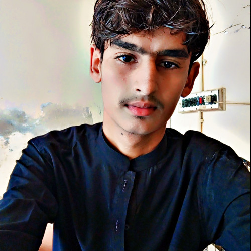 Naseer M. profile photo