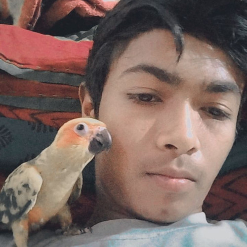 Bhavy S. profile photo