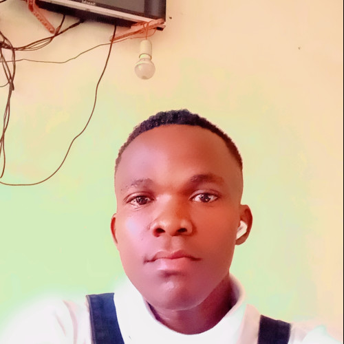 Tumusiime  N. profile photo