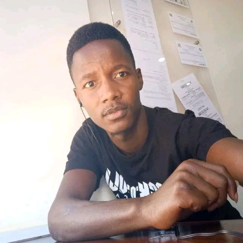 vincent n. profile photo