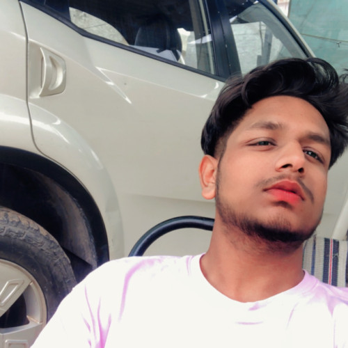 Vishal V. profile photo
