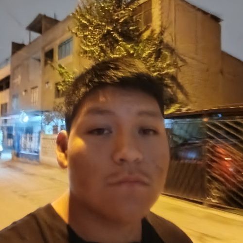 CarlosS T. profile photo