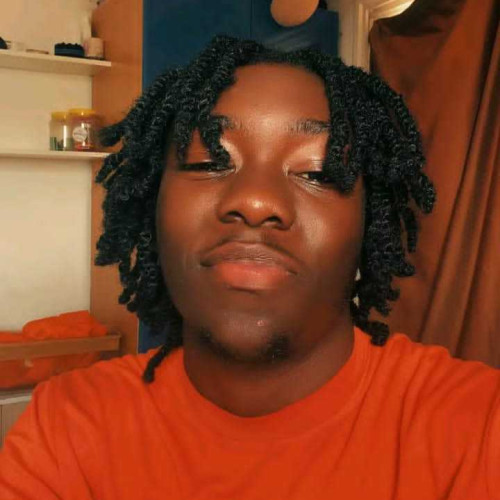 goldman s. profile photo