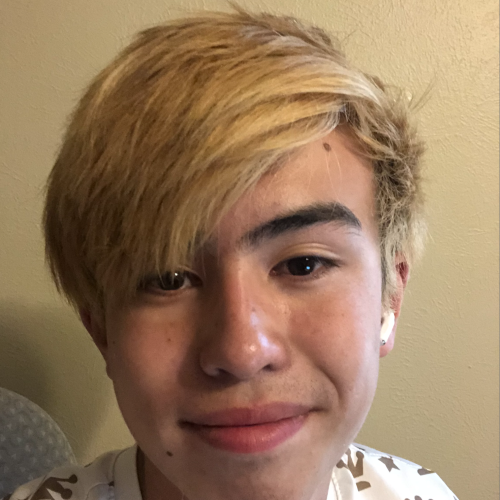 Bodhi C. profile photo