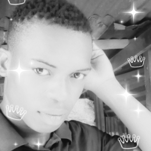 sunday n. profile photo