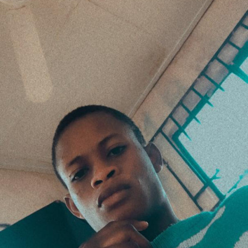 Olumide A. profile photo