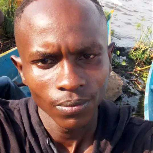 paul k. profile photo