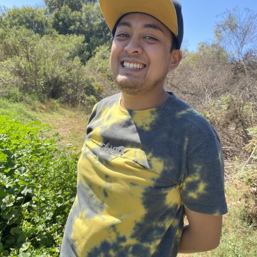 Diego D.