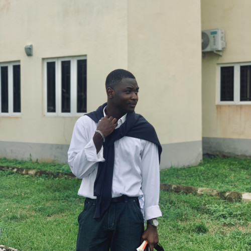 Olaoluwa S. profile photo