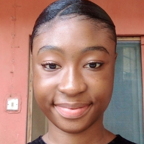 Chisom  D. profile photo