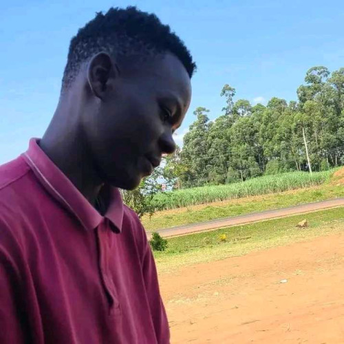 Andrew M. profile photo