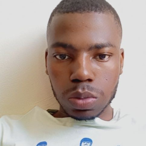 Aluwani M. profile photo