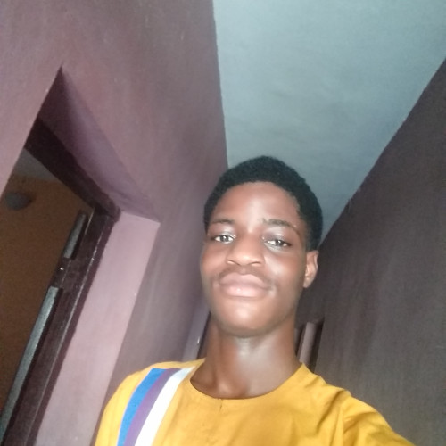 Young M. profile photo