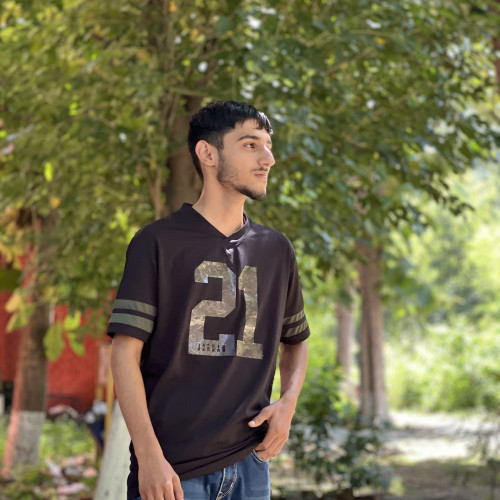 Mohit D. profile photo