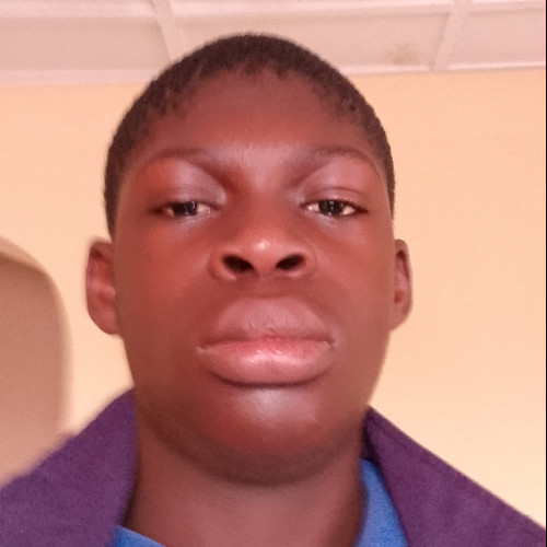 Afolabi  a. profile photo