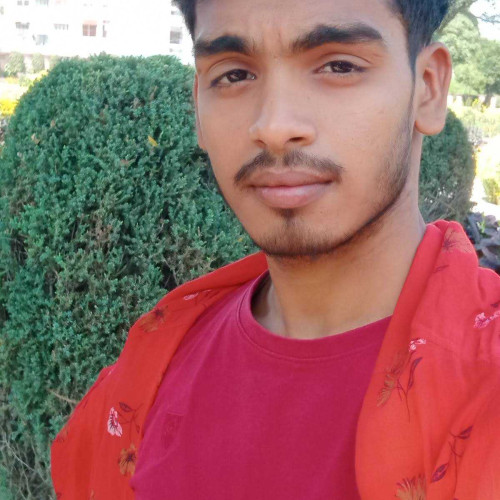 satya p. profile photo