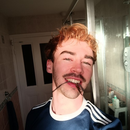 Lee S. profile photo