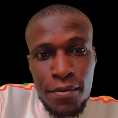 owolabi a. profile photo