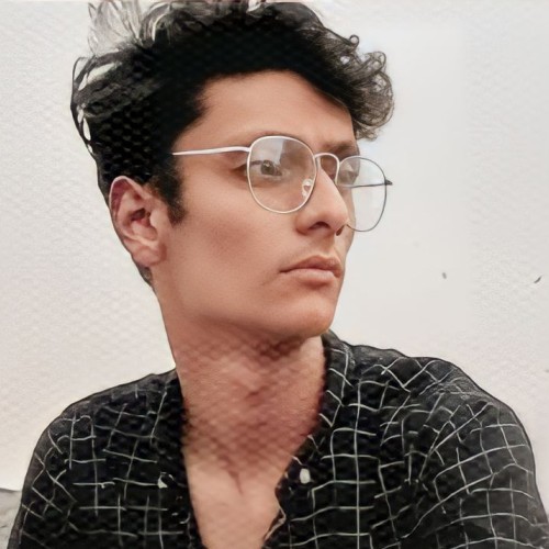 Mohtashim F.
