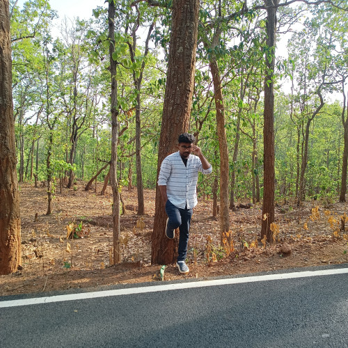 Manish T. profile photo