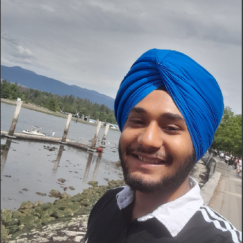 Birinderjit N.