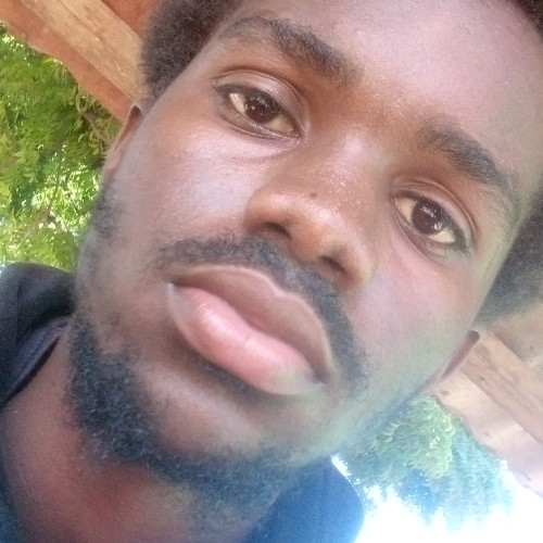 Arnold M. profile photo