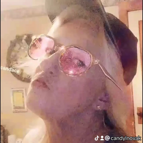 Candace  N. profile photo