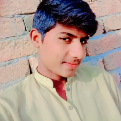 sadam s. profile photo