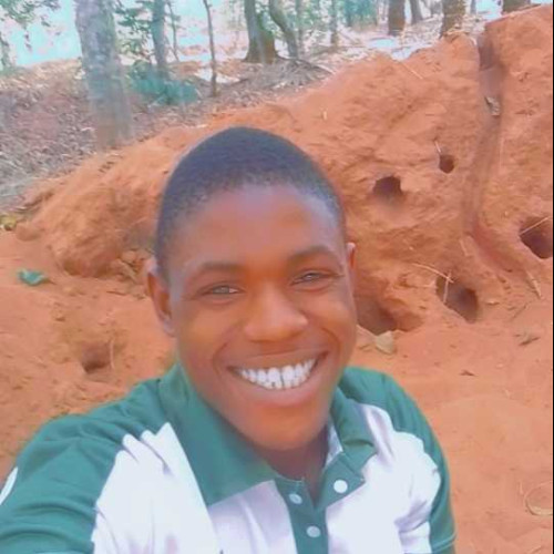 Ugwu  C.