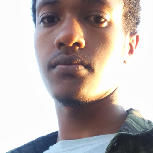 Dawit L. profile photo